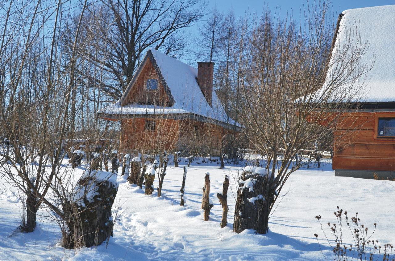 Domki Osada Werdolyna Polanczyk Exterior photo